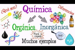 Qué es orgánico: Definición y ejemplos