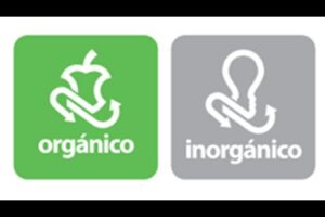 Diferencia entre orgánico y no orgánico: ¿Cuál elegir?