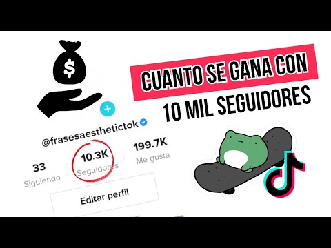 TikTok: Descubre cuánto te paga por seguidores
